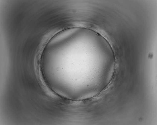 X0000102530097200808221915