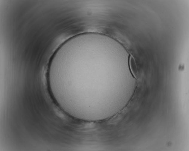 X0000102530098200808221915