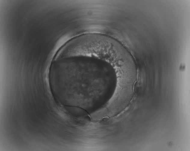 X0000102530099200808221915