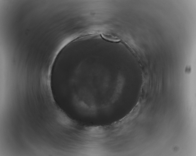 X0000102530100200808221915