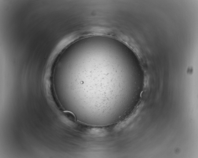 X0000102530101200808221915