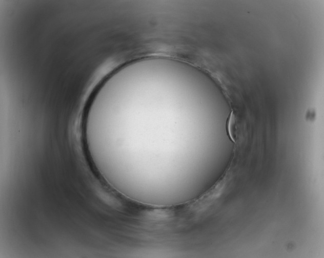 X0000102530102200808221915