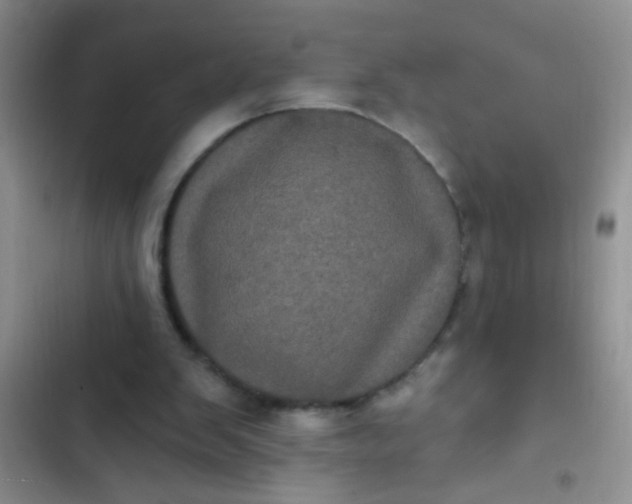 X0000102530103200808221915