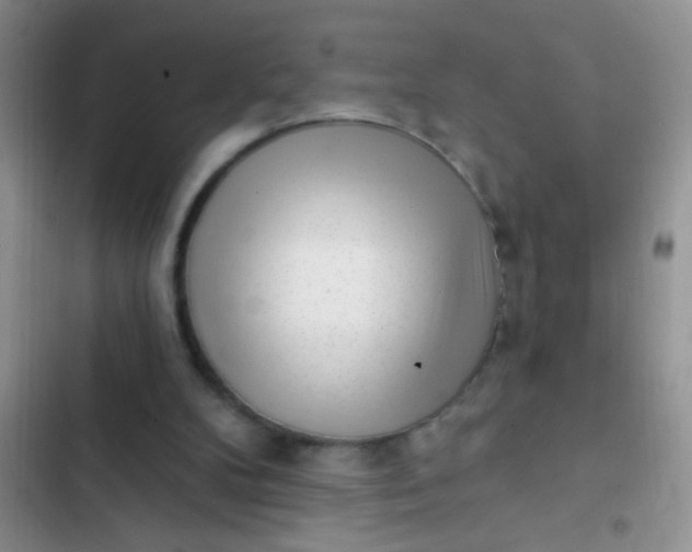 X0000102530104200808221915