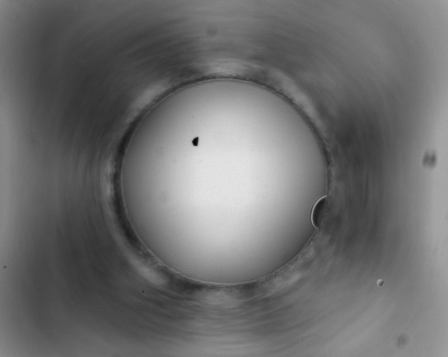 X0000102530106200808221915