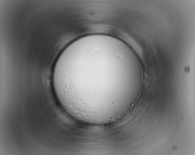 X0000102530107200808221915