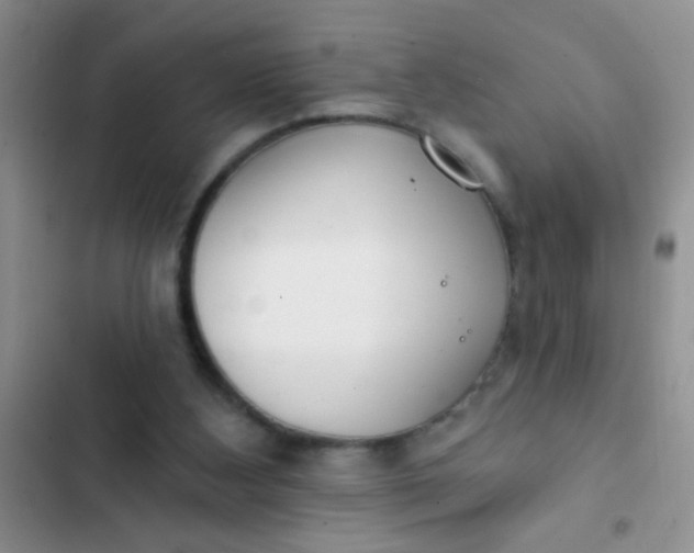 X0000102530108200808221915