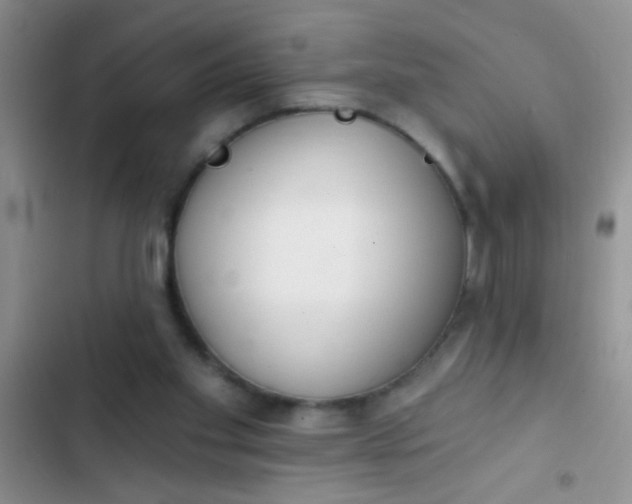 X0000102530109200808221915