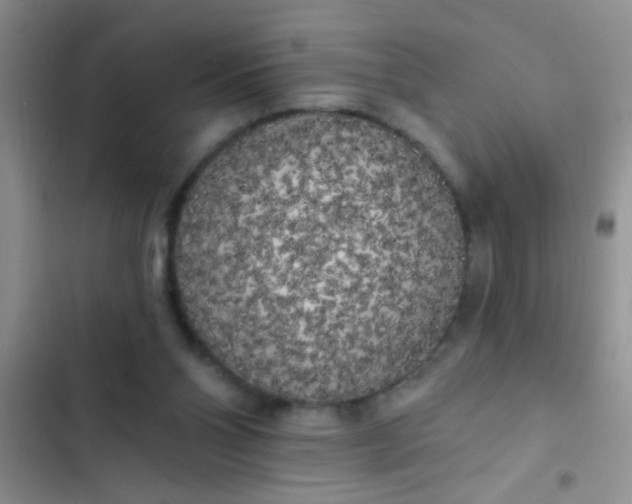 X0000102530110200808221915