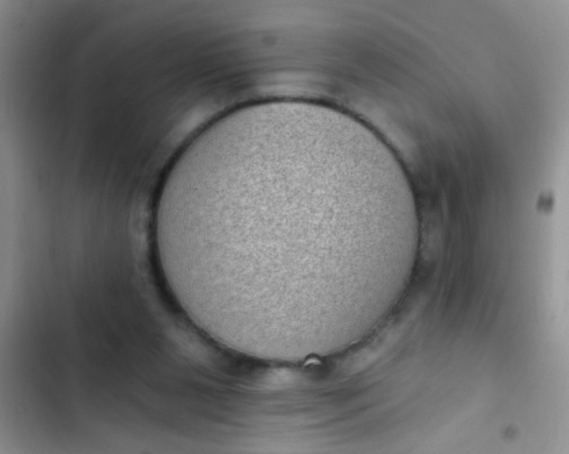 X0000102530111200808221915