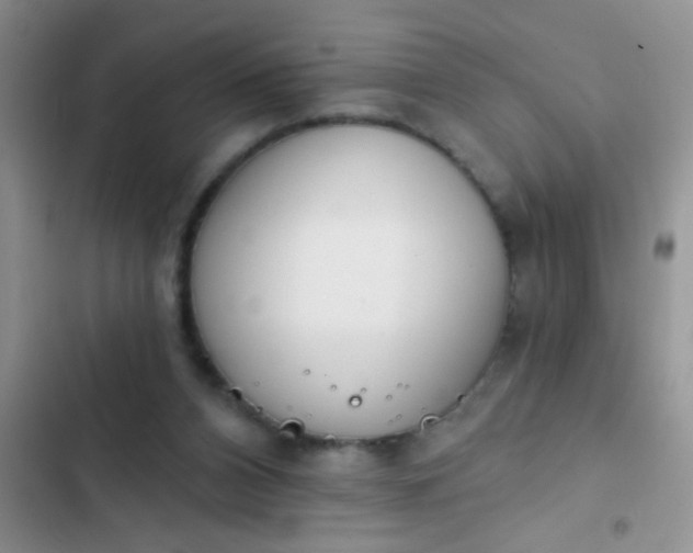 X0000102530112200808221914