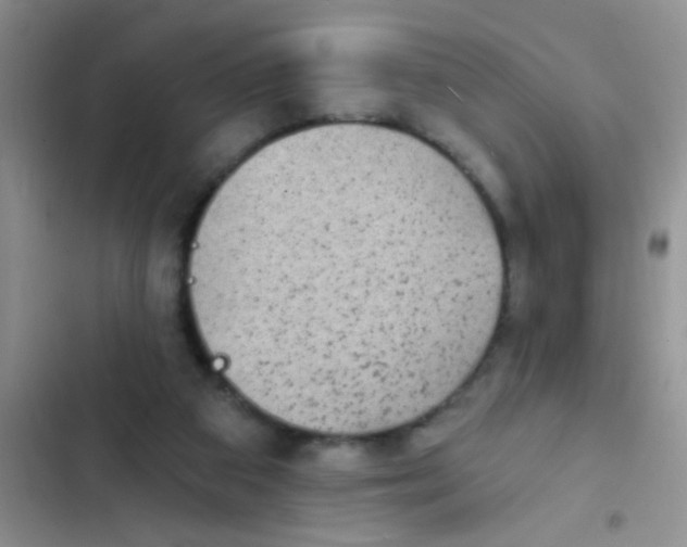 X0000102530113200808221914