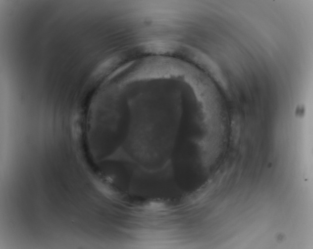 X0000102530114200808221914