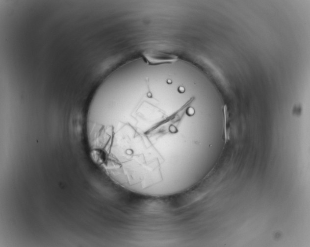 X0000102530115200808221914