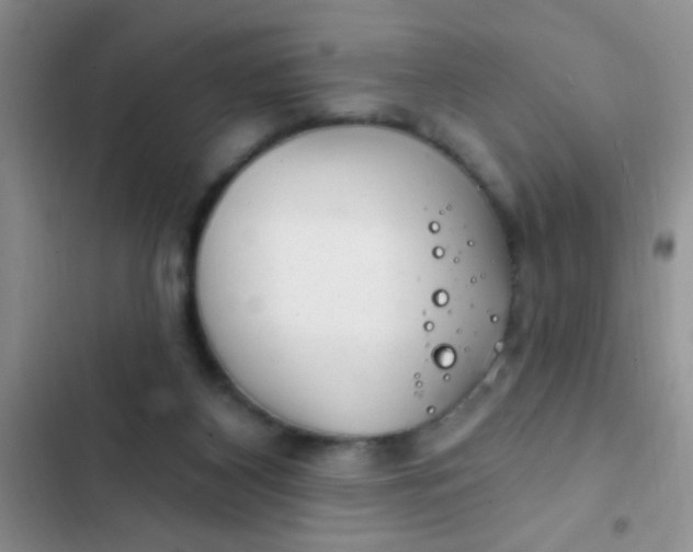 X0000102530116200808221914