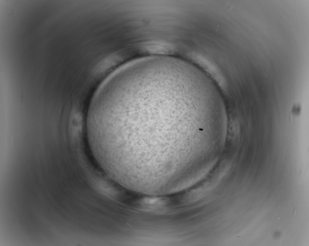 X0000102530117200808221914