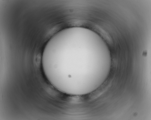 X0000102530118200808221914