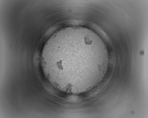 X0000102530119200808221914