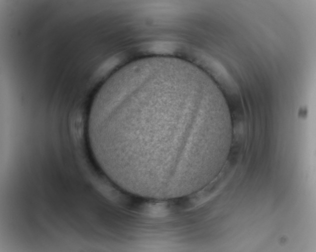 X0000102530120200808221914