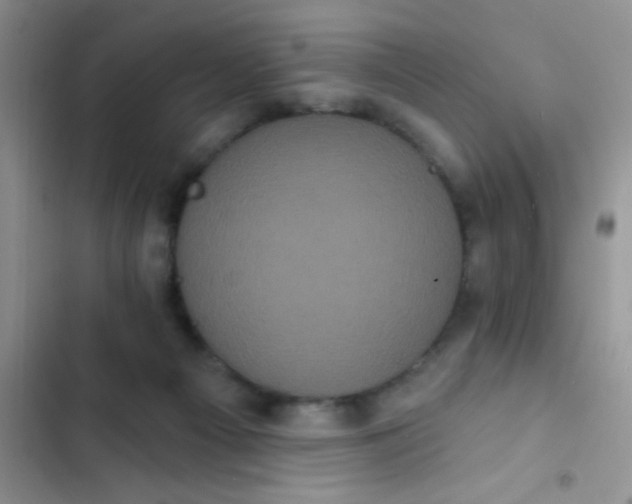 X0000102530121200808221914