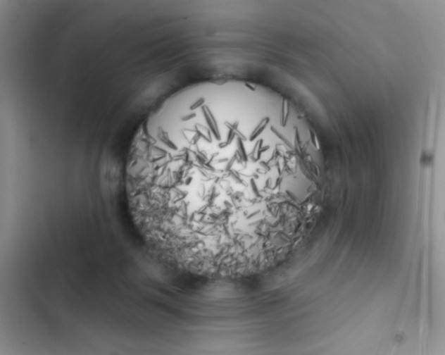 X0000102530123200808221914