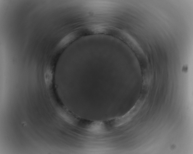 X0000102530124200808221914