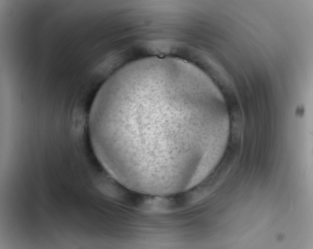 X0000102530125200808221914