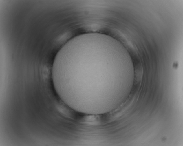 X0000102530126200808221914