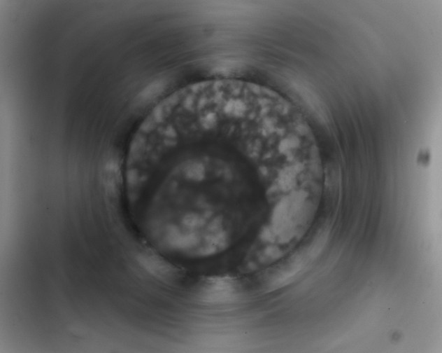 X0000102530127200808221914