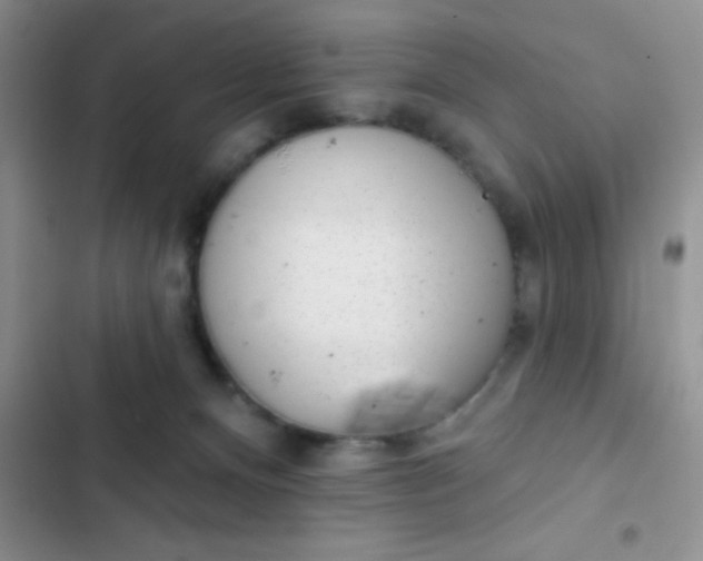 X0000102530128200808221914