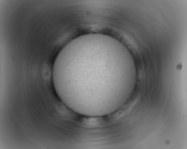 X0000102530129200808221914