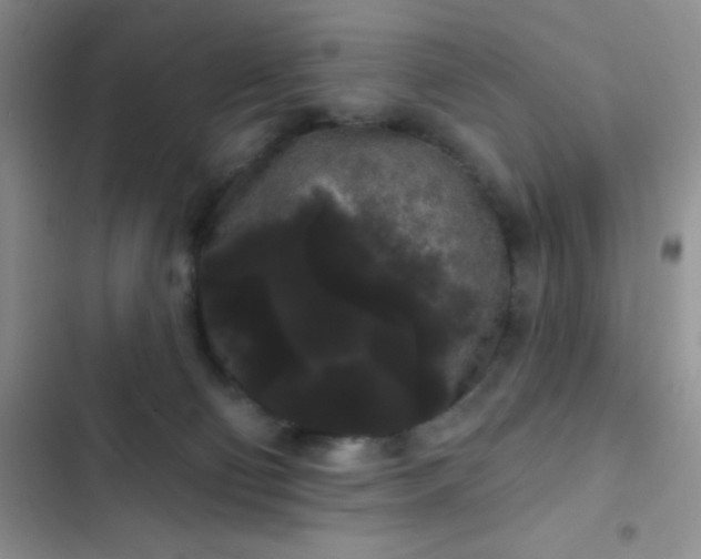 X0000102530130200808221914