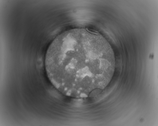 X0000102530131200808221914