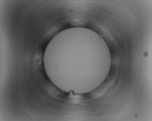 X0000102530133200808221914