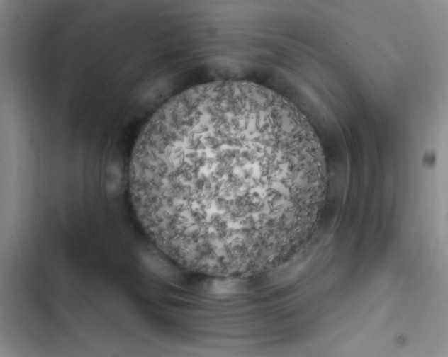 X0000102530134200808221914