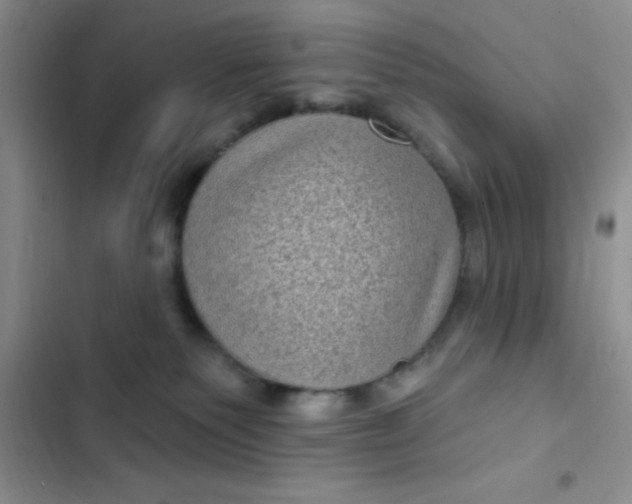 X0000102530135200808221914