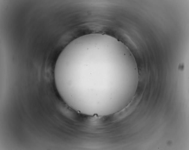 X0000102530136200808221914