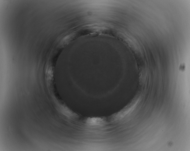 X0000102530137200808221914