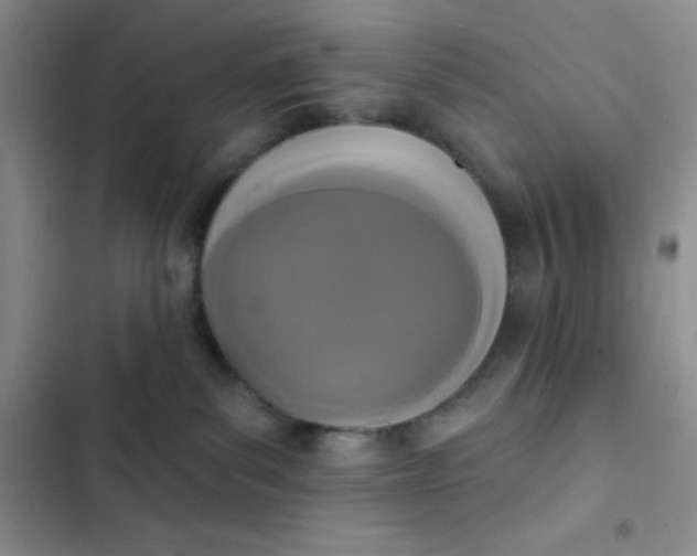 X0000102530139200808221914