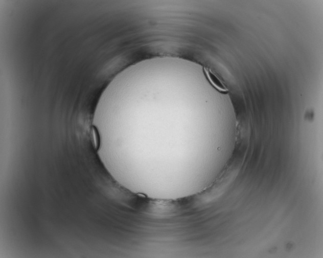 X0000102530141200808221914