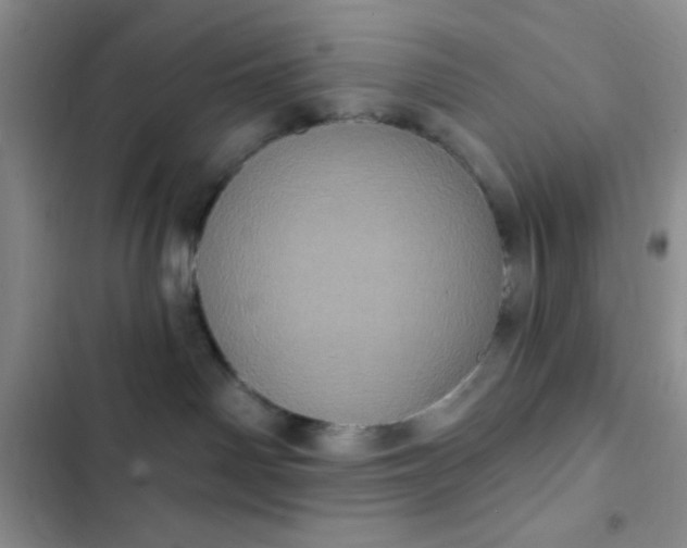 X0000102530142200808221914