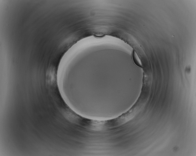 X0000102530143200808221914