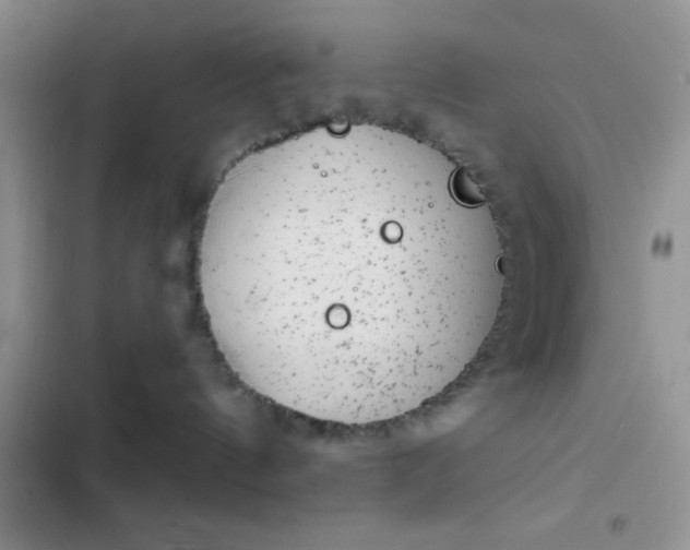 X0000102530144200808221914