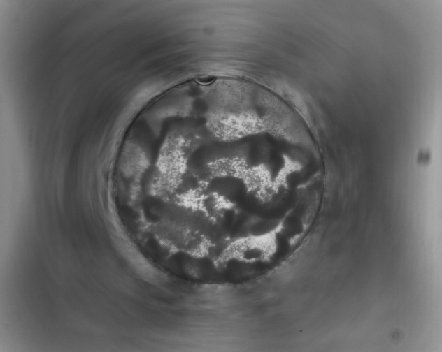 X0000102530145200808221913