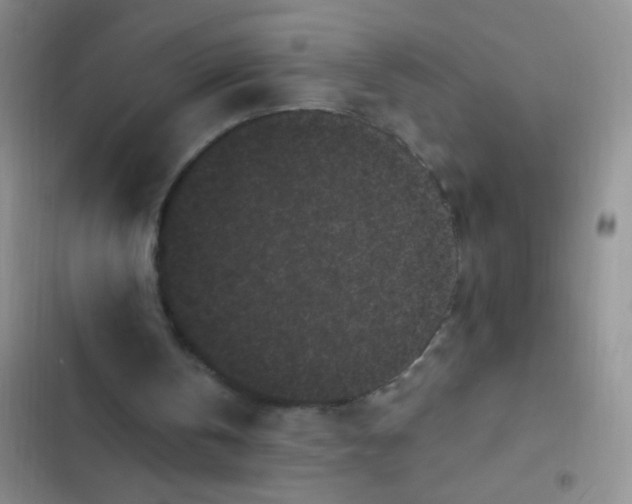 X0000102530146200808221913