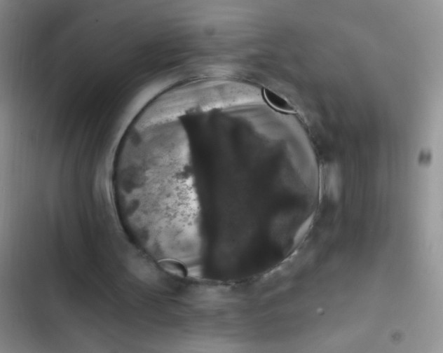 X0000102530147200808221913