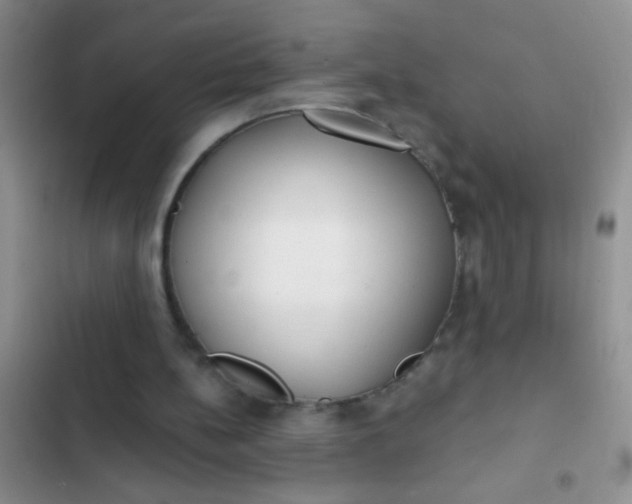 X0000102530148200808221913