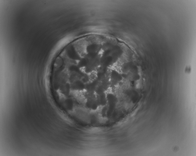 X0000102530149200808221913