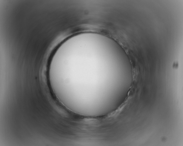 X0000102530150200808221913