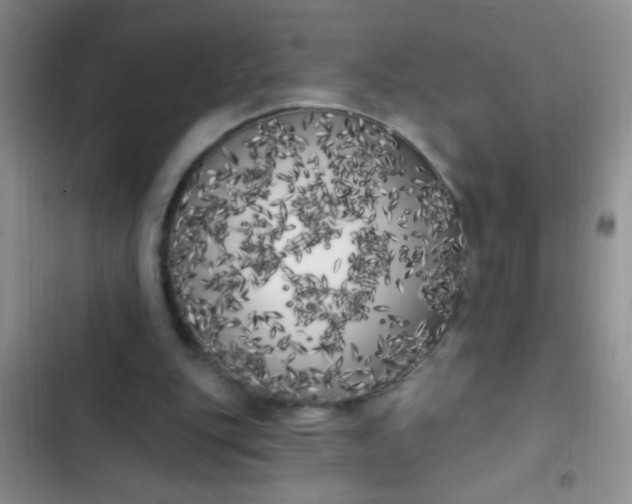 X0000102530151200808221913